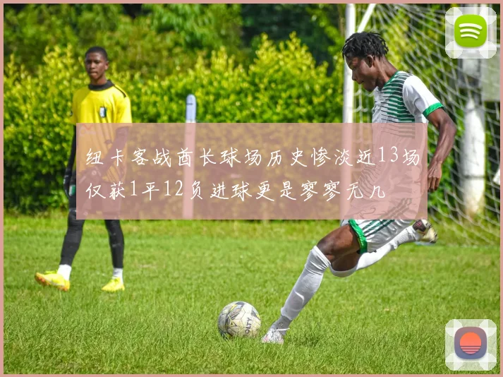纽卡客战酋长球场历史惨淡近13场仅获1平12负进球更是寥寥无几